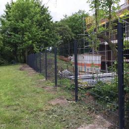 Bild 1 