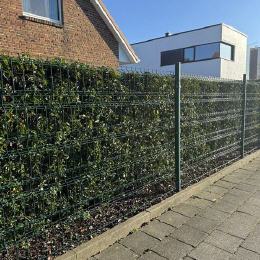 Bild 8 
